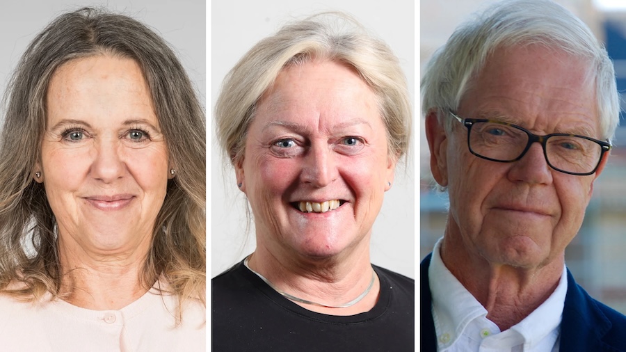 Anna Nygren, Karin Lamberg och Åke Pålshammar