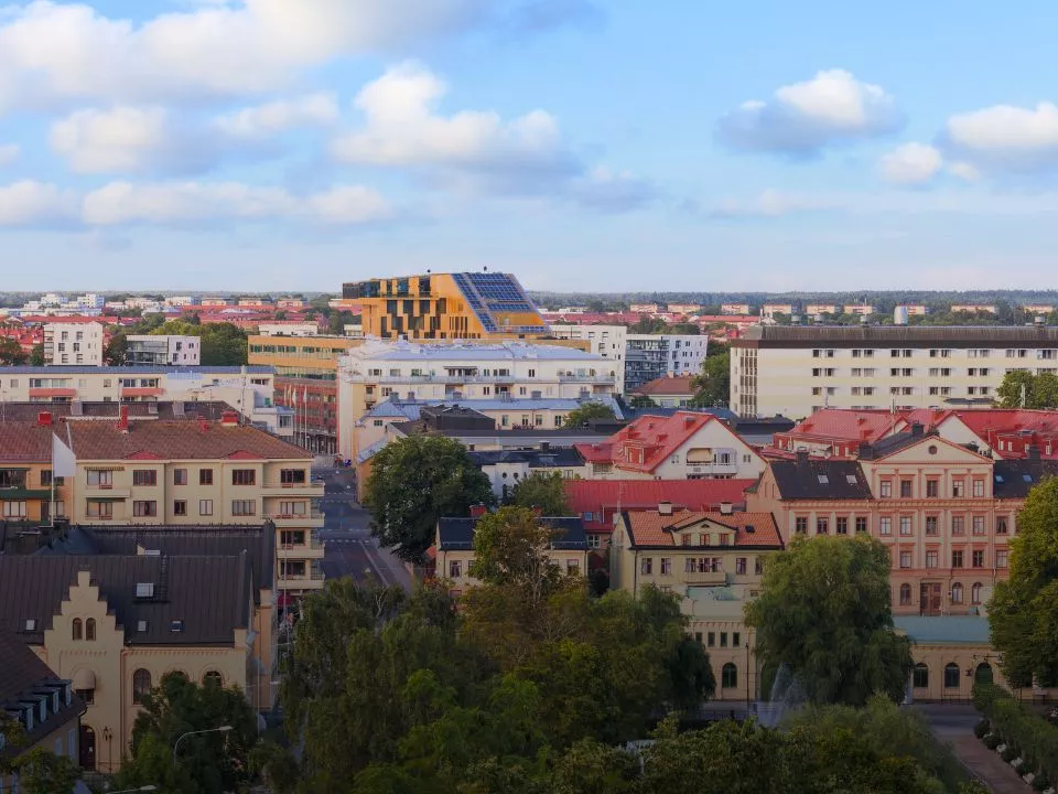 Människor som är samlade som lag