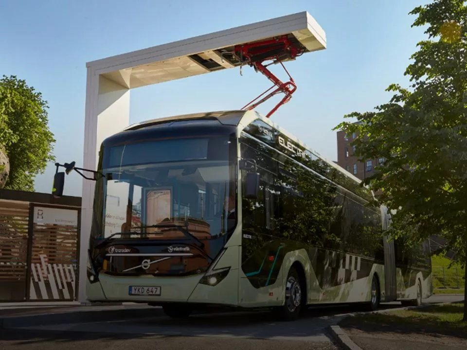 Människor som är samlade som lag